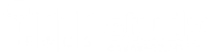 FWCS Study Connection Logo